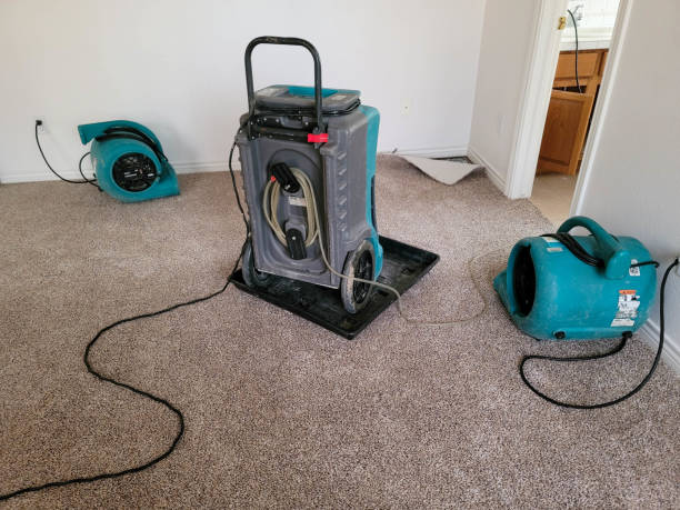 Trusted Tangelo Park, FL Water damage restoration Experts