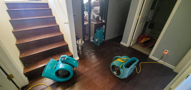 Best Fire Damage Restoration  in Tangelo Park, FL