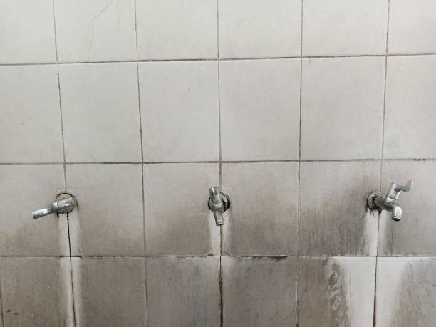 Best Carpet water damage restoration  in Tangelo Park, FL