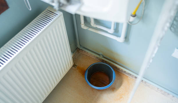 Best Sewage cleanup and water damage restoration  in Tangelo Park, FL